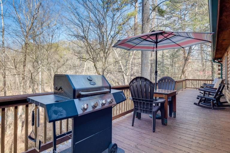 Pet-Friendly Cabin w/ Loft: 5 Mi to Lake Lure! — photo 3
