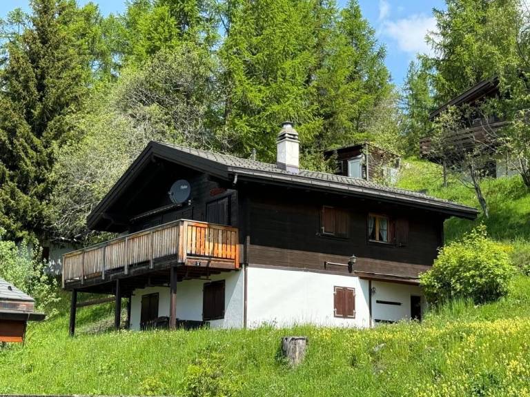 Ferienhaus Bellwald