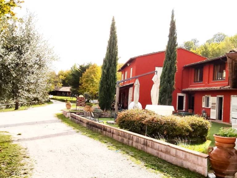 Il Poggio dei Pettirossi: Genziana — photo 2