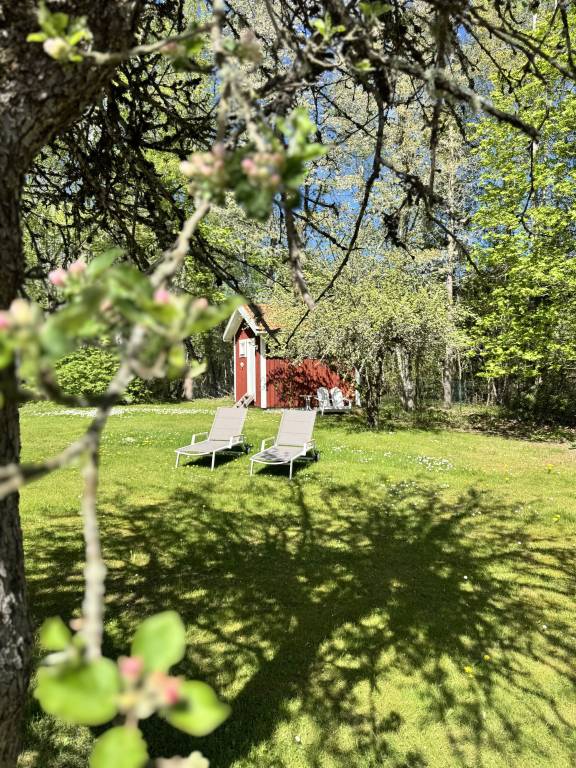 Pleasant house with sauna | Dogs allowed — photo 5
