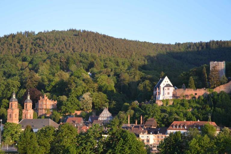 Ferienwohnung Miltenberg