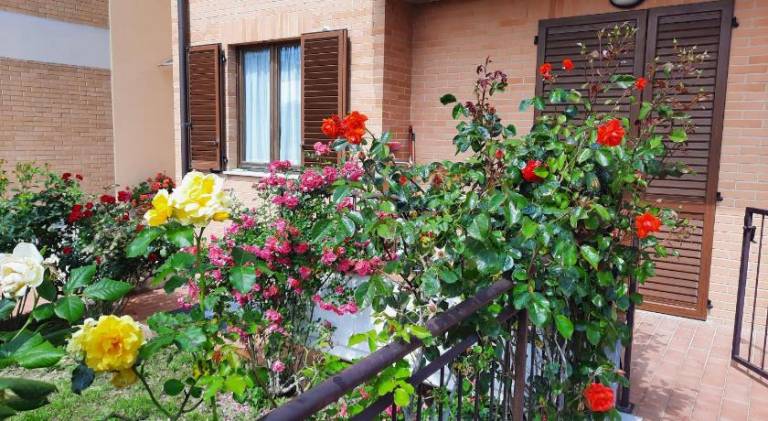 Vacation home with 2 rooms for 6 persons — photo 4