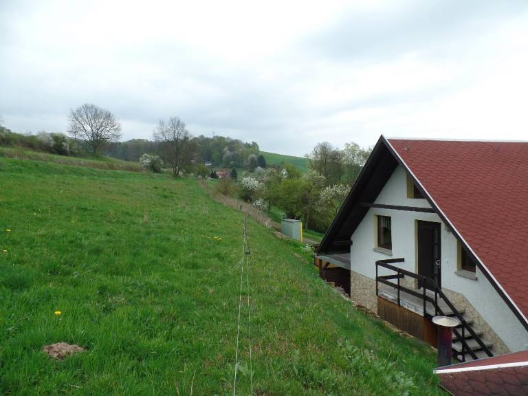 foto1