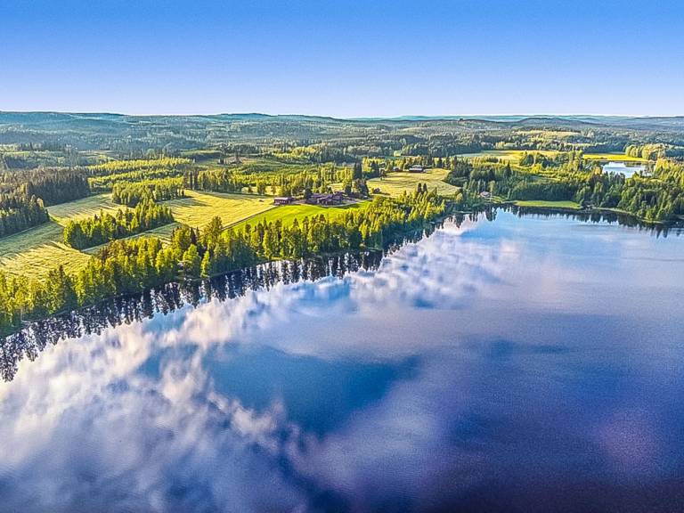 House with terrace & sauna | Nature view | Pet-friendly — photo 4