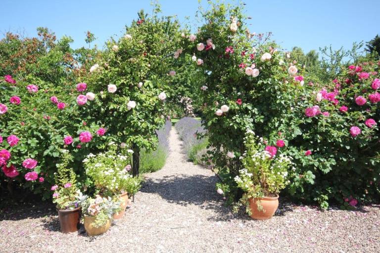 Bed and breakfast  Nether Stowey