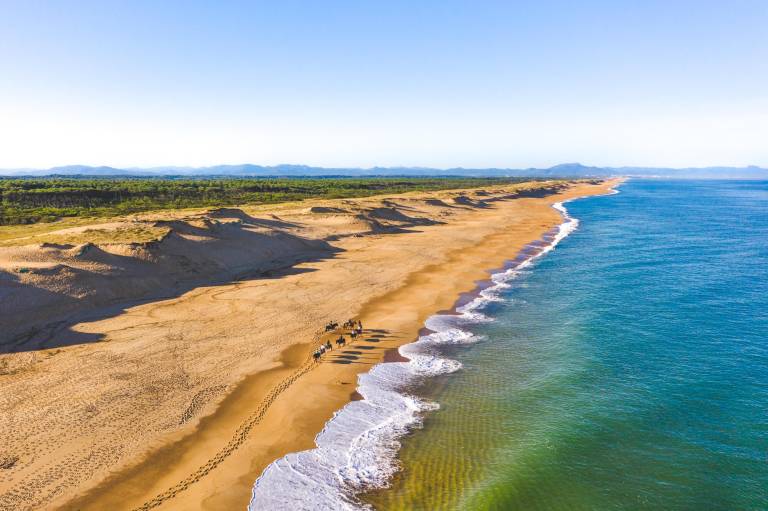 Ferienhaus mit Hund inCapbreton, Aquitanien  f&uuml;r max. 4 Personen