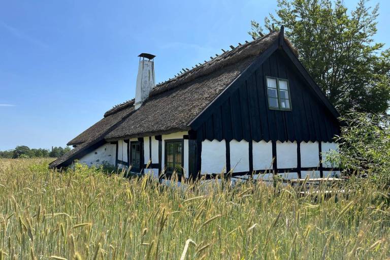 House with garden — photo 3