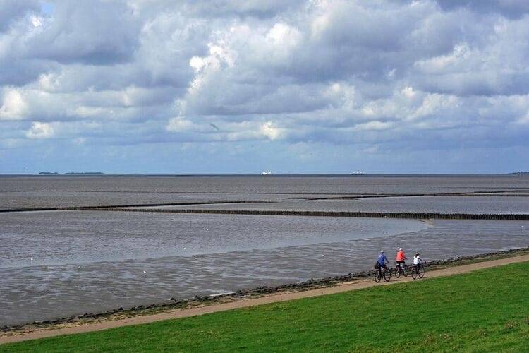 foto17
