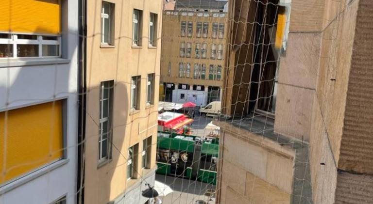 Holiday apartment | Near Basel Minster — photo 5