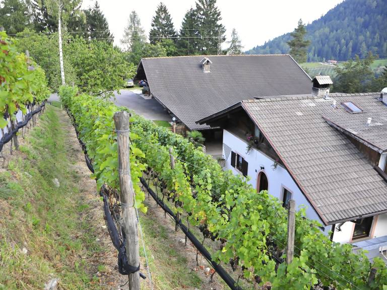 Wonderful rental apartment with terrace & barbeque | Dogs allowed — photo 3