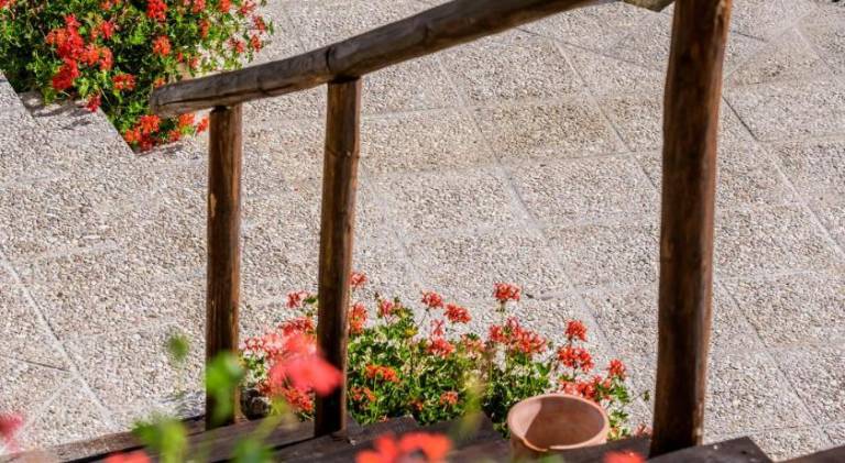 Holiday apartment with barbecue, garden & terrace — photo 5