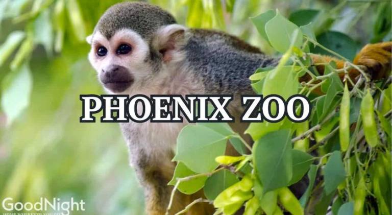 foto23