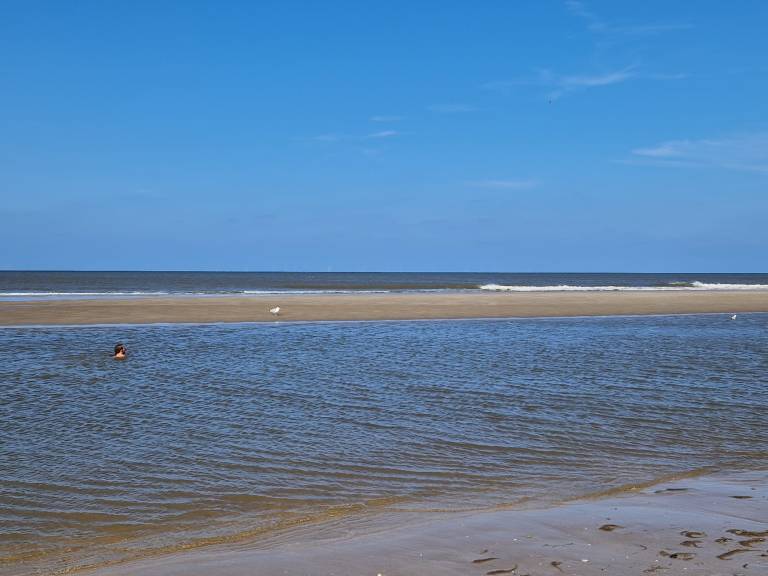 foto8
