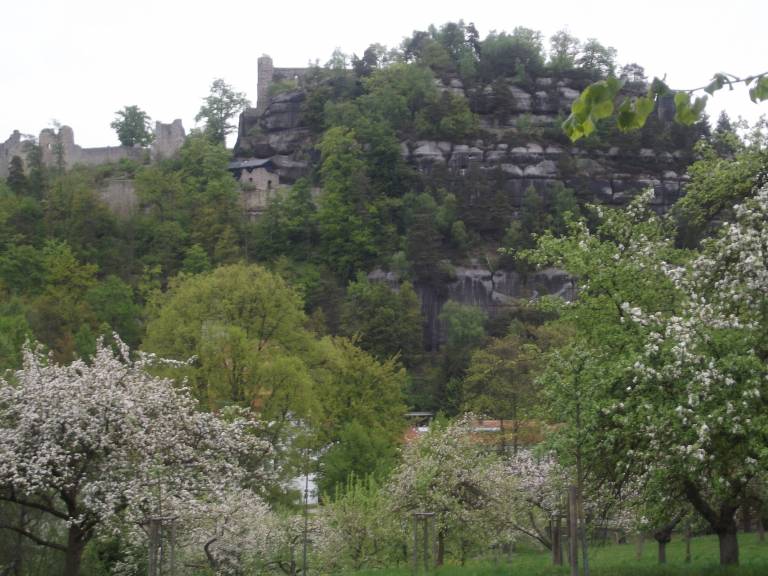 foto21