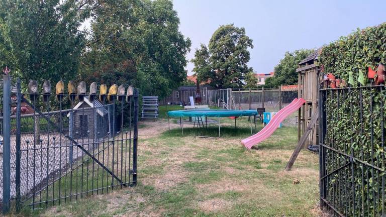 foto31