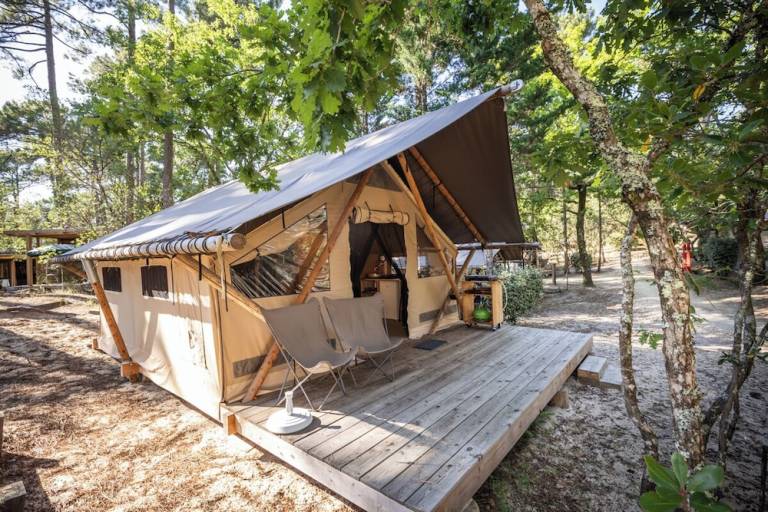 Camping  Bassin d'Arcachon