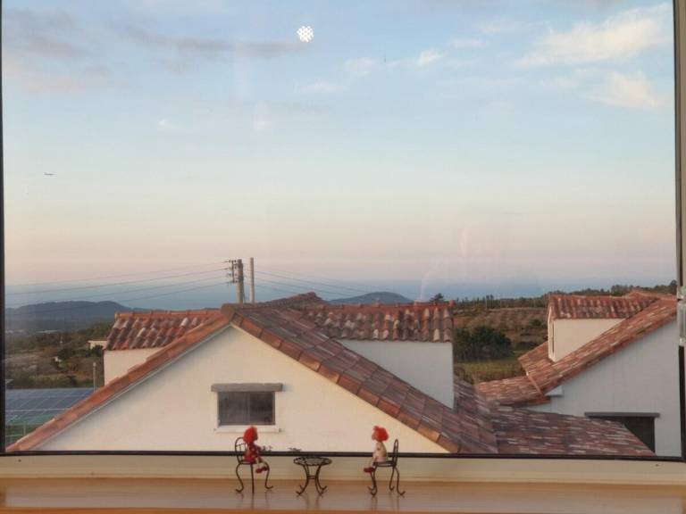 foto31