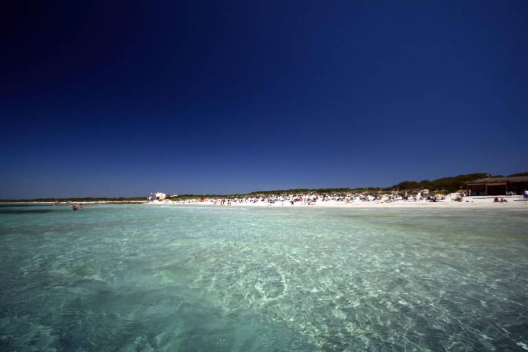 foto6