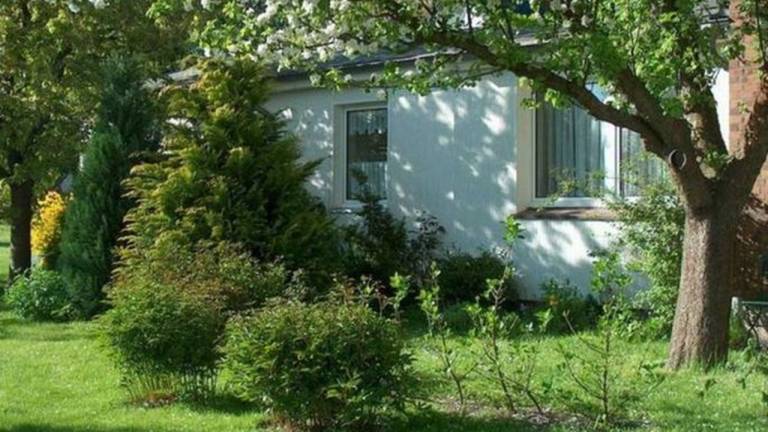 Wohnung mit Grill und Garten