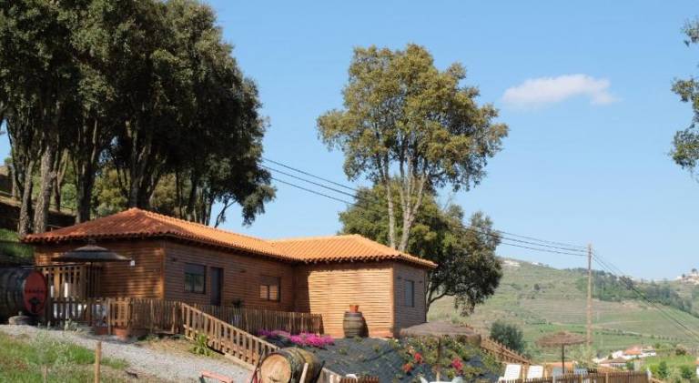 foto42
