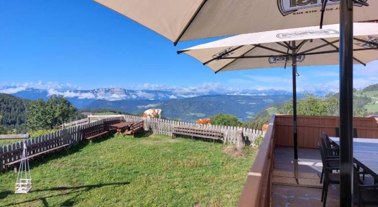 Farm with patio & yard — photo 4