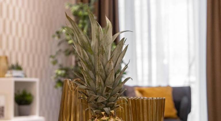 Nice serviced apartment with garden & patio | Near St. Stephen's Basilica | Pet-friendly — photo 4