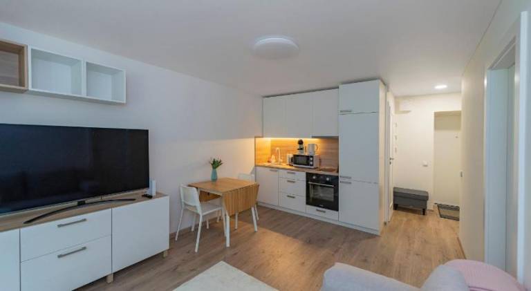 Apartment with 1 room for 4 persons in Kaunas