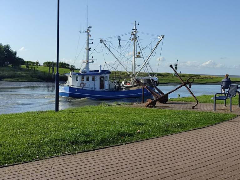 foto20