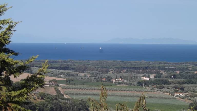 Agriturismo Costia Mandorli: Costia Mandorli - App. Olivo — photo 5