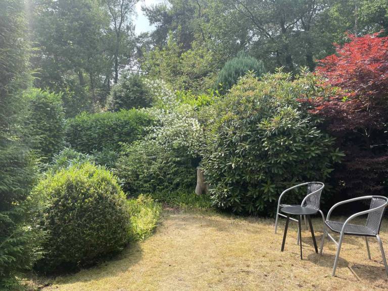 foto11