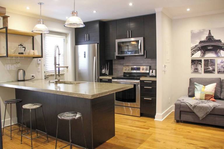 Apartment  Lasalle