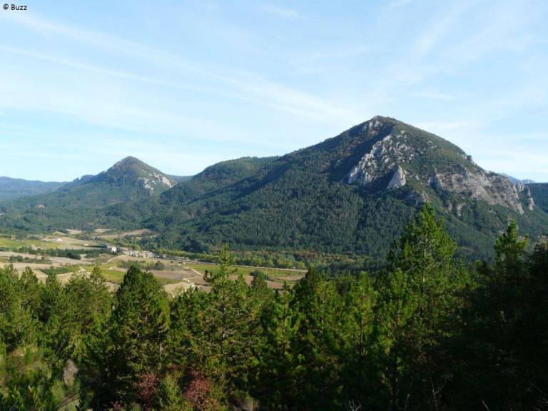 foto23