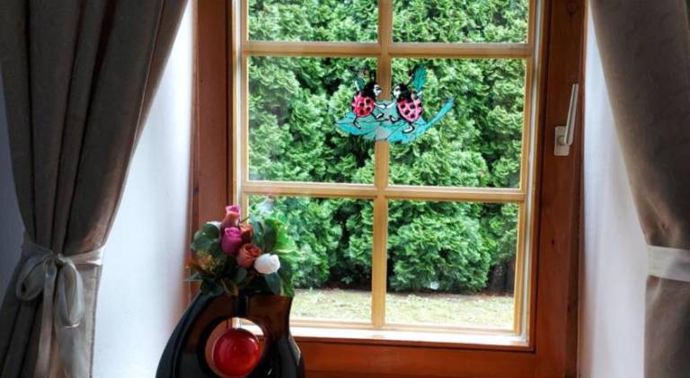 foto34