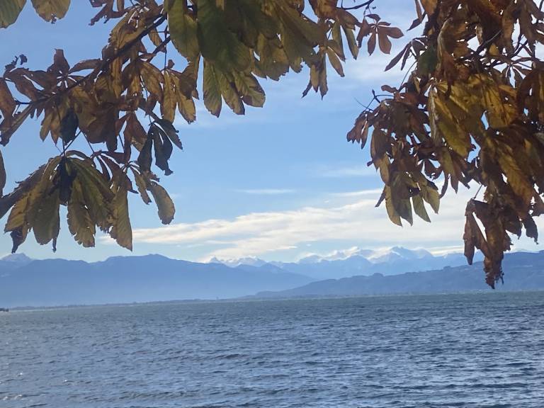 foto20