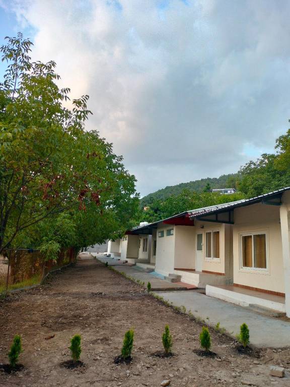 Tent with yard & terrace in Rajgarh