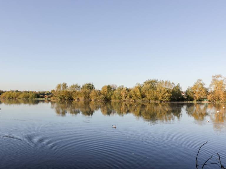 foto17