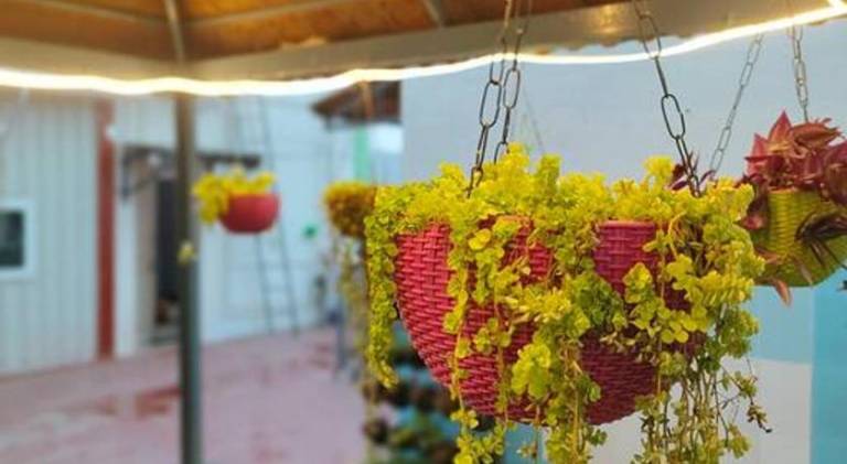 foto7