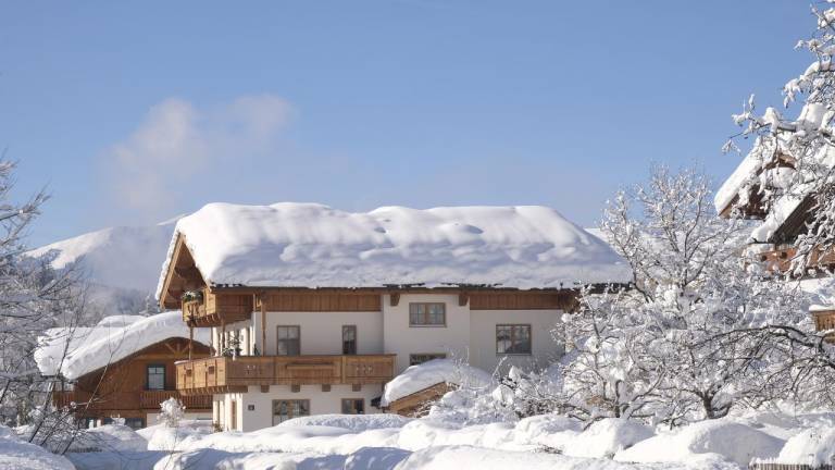 Ferienwohnung  Maria Alm am Steinernen Meer