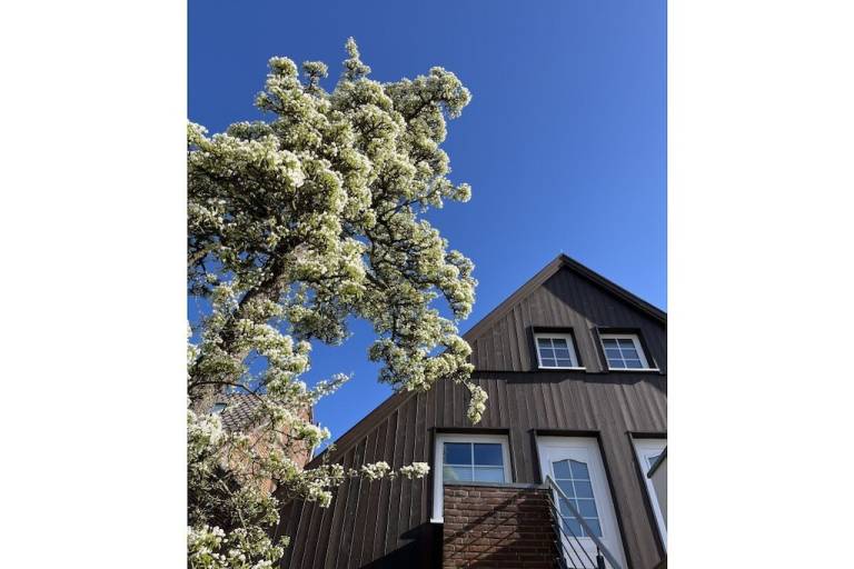 Ferienhaus  Burg auf Fehmarn
