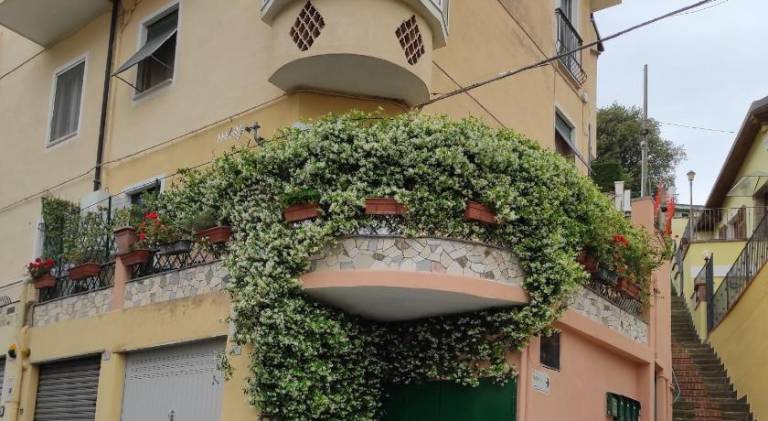 Beautiful rental apartment | Pet-friendly — photo 3