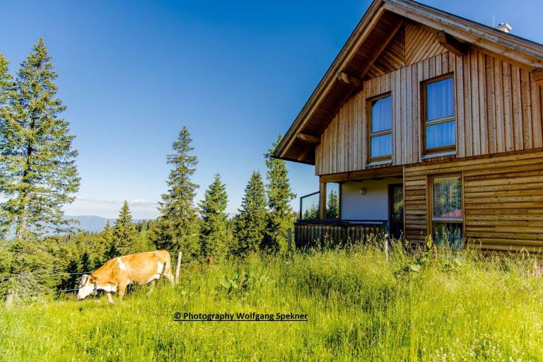 Nice vacation home with terrace, yard & sauna | Close to the ski | Pets allowed — photo 5