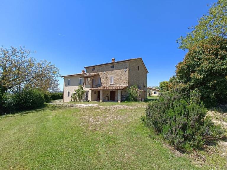 foto1