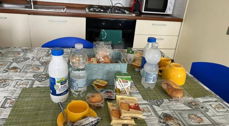 Holiday apartment | Pets are welcome — photo 5