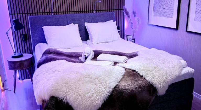 Rental apartment | Close to Arktikum Science Museum in Rovaniemi