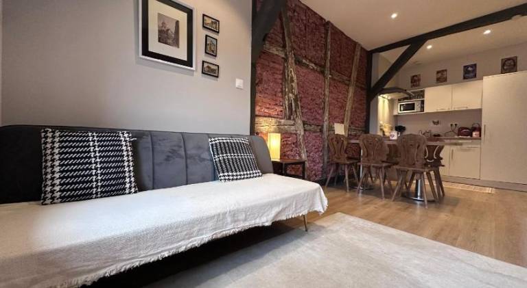 Beautiful rental apartment | Dogs allowed in Colmar