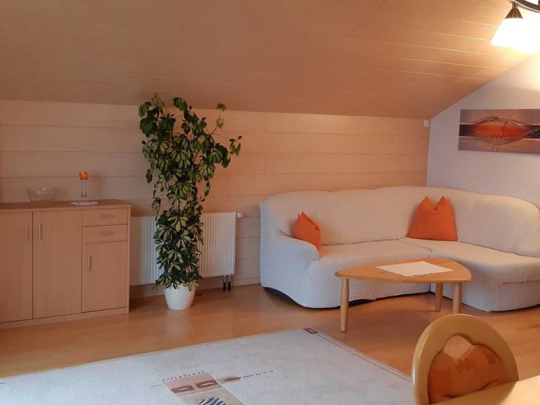 Ferienwohnung mit Hund in Gemeinde Schröcken, Schröcken f&uuml;r max. 6 Personen