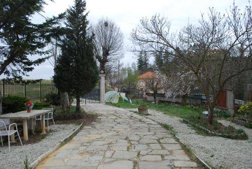 foto21
