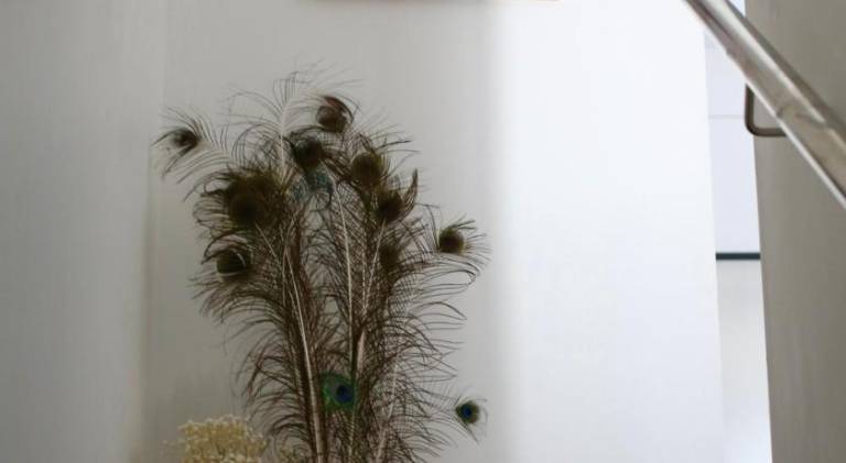 foto2