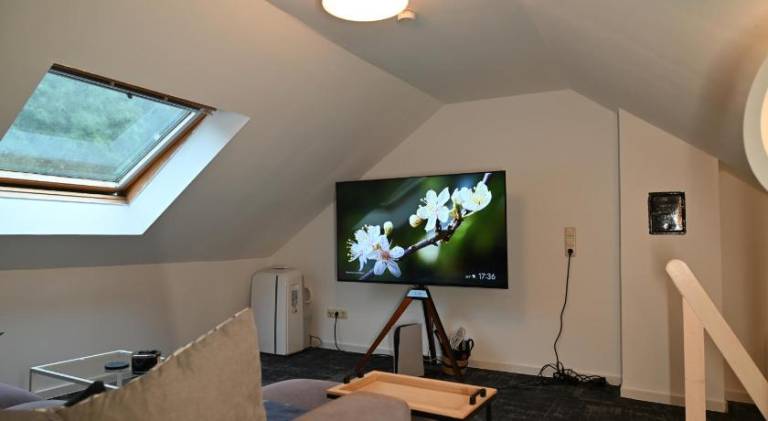 Holiday apartment | Pets are welcome — photo 3