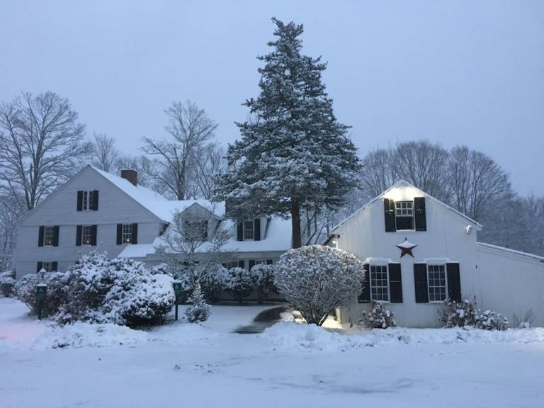 Accommodation Storrs